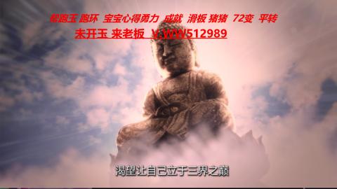 520双倍积分预定中