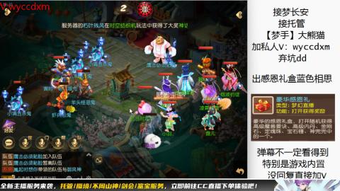 接大海龟活动最后俩天