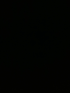 别翻了~就我了~