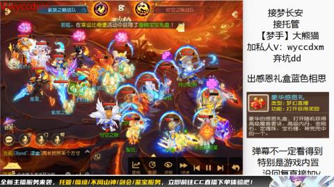 接大海龟活动最后俩天