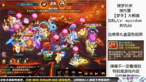 接大海龟活动最后俩天