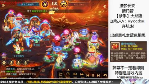 接大海龟活动最后俩天
