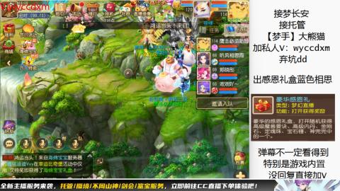 接大海龟活动最后俩天