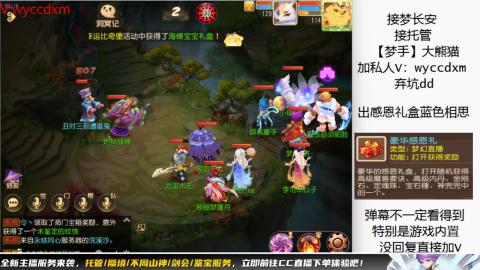 接大海龟活动最后俩天