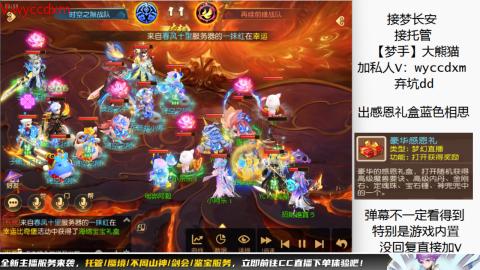 接大海龟活动最后俩天