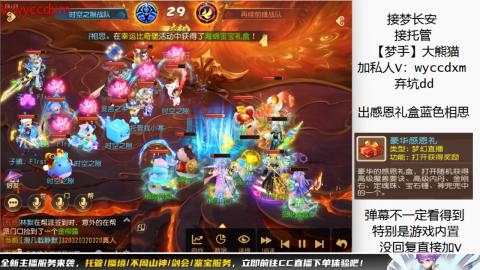 接大海龟活动最后俩天