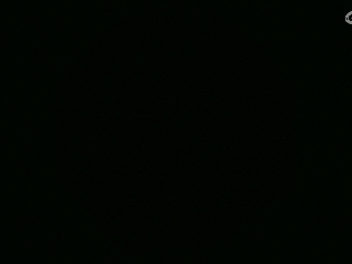不要留下我一个人孤军奋战..
