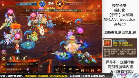 接大海龟活动最后俩天