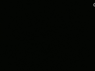 等风也等你