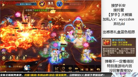 接大海龟活动最后俩天