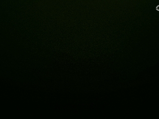 不要留下我一个人孤军奋战..
