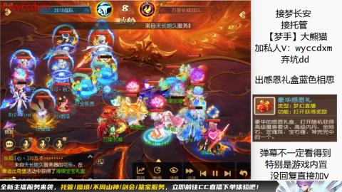 接大海龟活动最后俩天