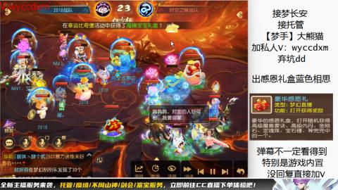 接大海龟活动最后俩天