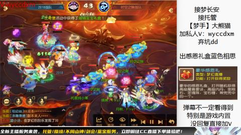 接大海龟活动最后俩天