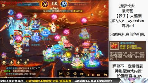 接大海龟活动最后俩天