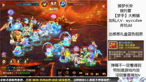 接大海龟活动最后俩天