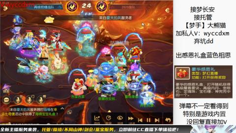 接大海龟活动最后俩天