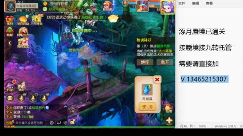 接九转蜃境托管~