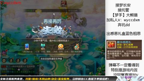 接大海龟活动最后俩天