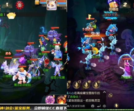 接大海龟活动最后俩天