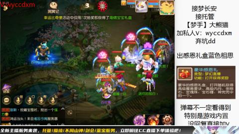 接大海龟活动最后俩天