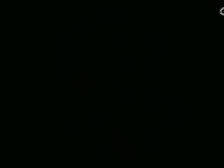 不要留下我一个人孤军奋战..