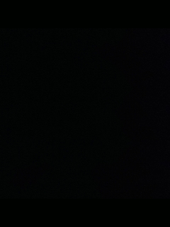 请叫我枪不黑的直播