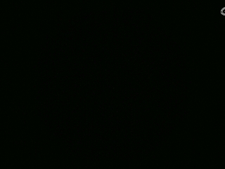 不要留下我一个人孤军奋战..