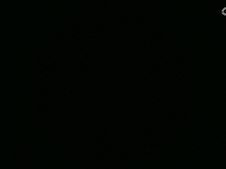 不要留下我一个人孤军奋战..