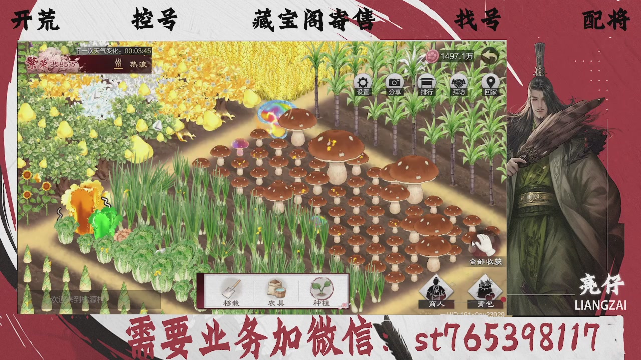 全网最低价，接开荒，夜控，找号，寄售