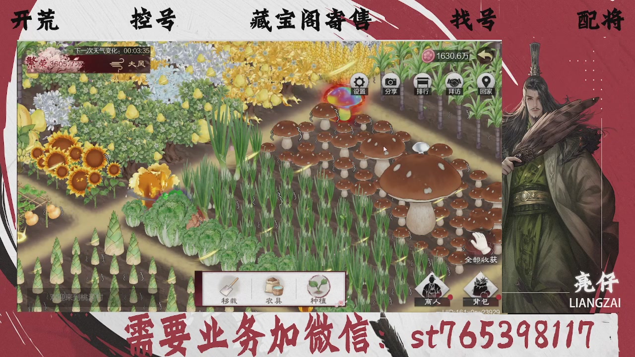 全网最低价，接开荒，夜控，找号，寄售