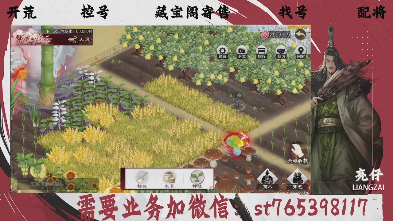 全网最低价，接开荒，夜控，找号，寄售