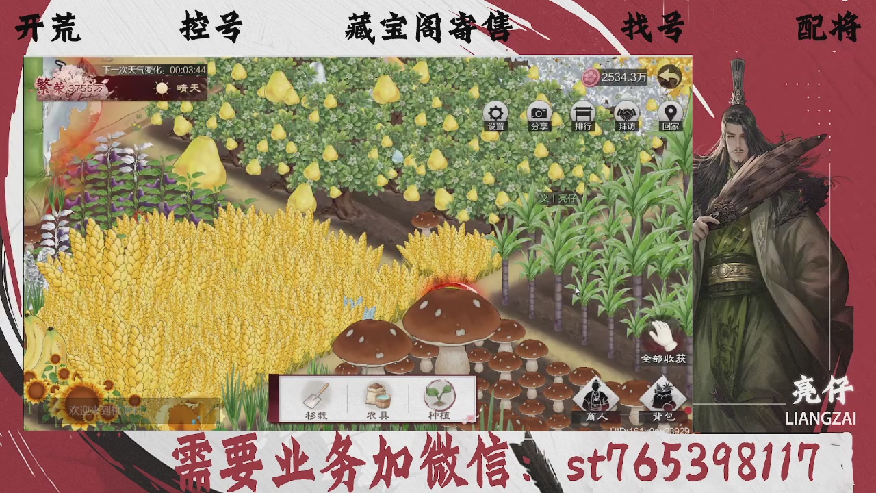 全网最低价，接开荒，夜控，找号，寄售