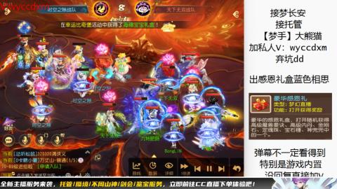 接大海龟活动最后俩天
