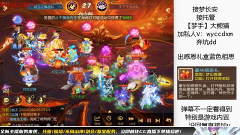 接大海龟活动最后俩天