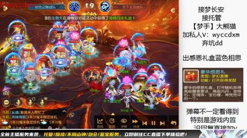 接大海龟活动最后俩天