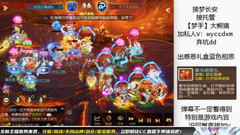 接大海龟活动最后俩天