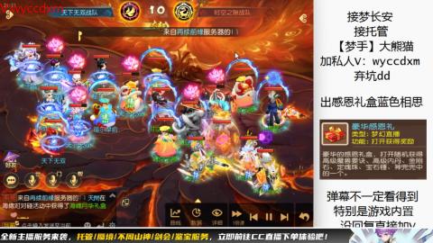 接大海龟活动最后俩天