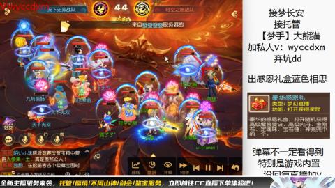 接大海龟活动最后俩天