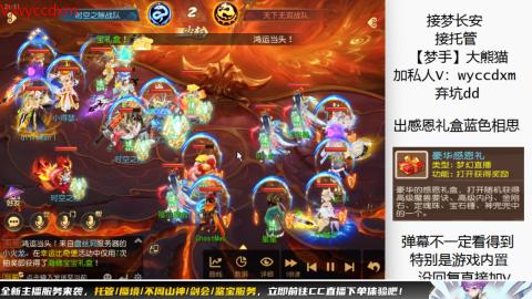 接大海龟活动最后俩天