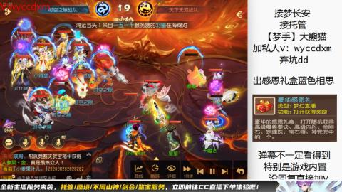 接大海龟活动最后俩天