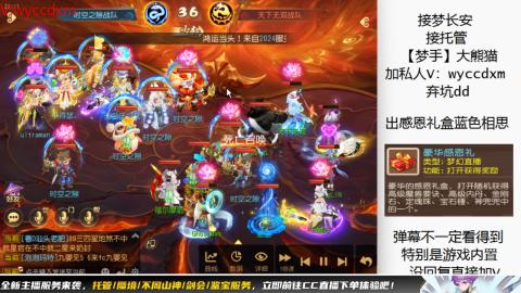 接大海龟活动最后俩天