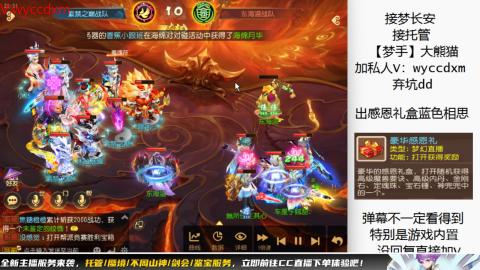 接大海龟活动最后俩天