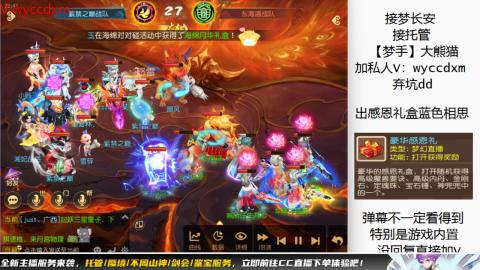 接大海龟活动最后俩天