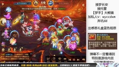 接大海龟活动最后俩天
