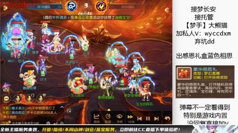 接大海龟活动最后俩天