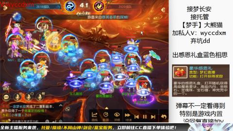 接大海龟活动最后俩天