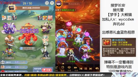 接大海龟活动最后俩天