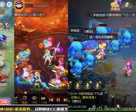 接大海龟活动最后俩天