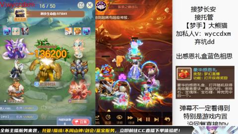 接大海龟活动最后俩天